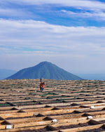 Load image into Gallery viewer, El Salvador - Los Pirineos