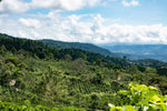 Load image into Gallery viewer, Costa Rica Aquiares Estate