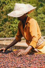 Load image into Gallery viewer, Homage