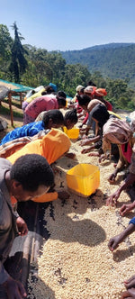 Load image into Gallery viewer, Ethiopia Megadu
