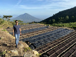 Load image into Gallery viewer, El Salvador Los Pirineos
