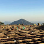 Load image into Gallery viewer, El Salvador Los Pirineos
